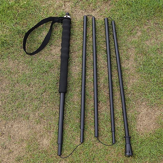 Baton de marche 